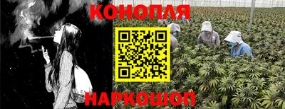 mdpv Лесосибирск