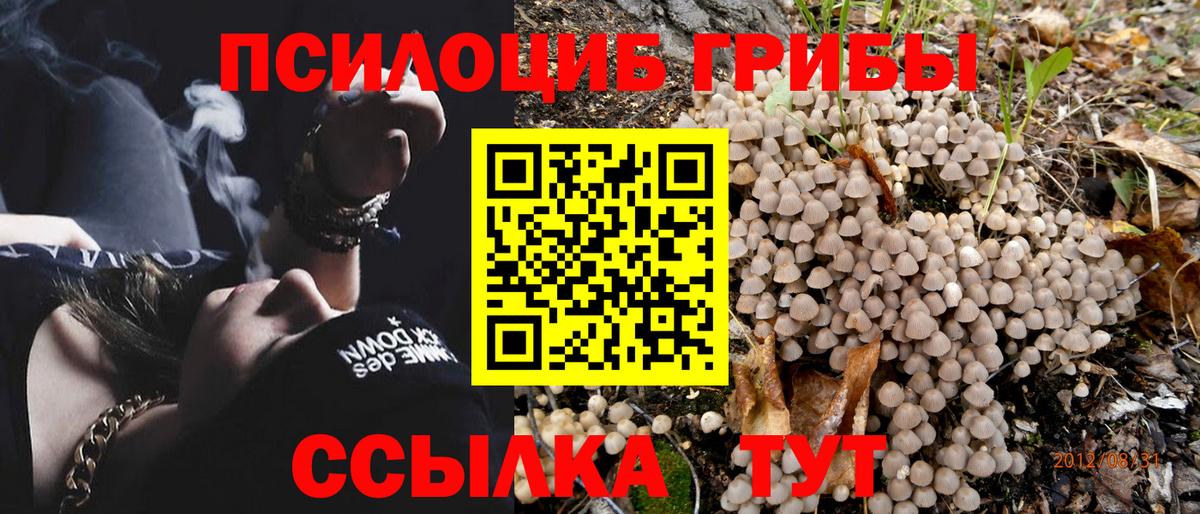 Галлюциногенные грибы GOLDEN TEACHER Дятьково